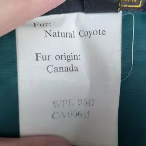VTG Eddie Bauer Goose Down Premier Polar Parka Women M Canadian Coyote Fur Green - Picture 5 of 10